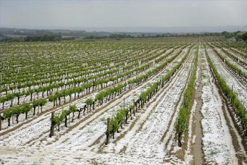 Las tormentas de granizo en la Comunidad Valenciana: Cartografía de riesgo en la actividad agraria